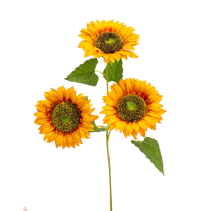 Sunflower Triple Stem