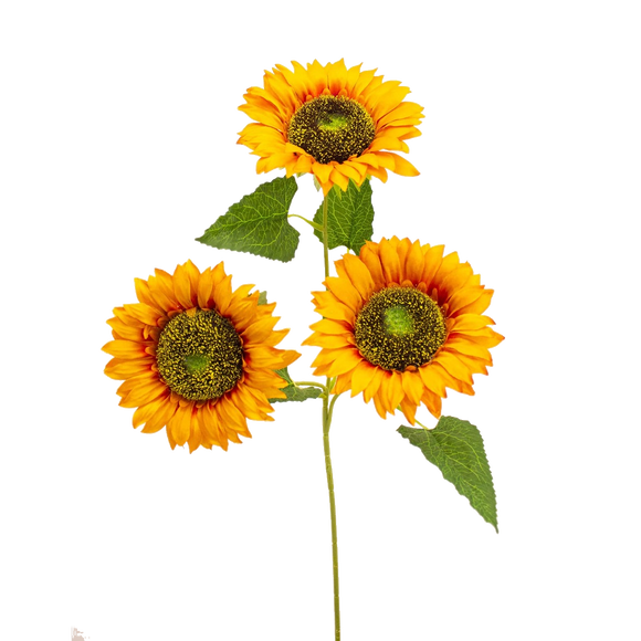 Sunflower Triple Stem