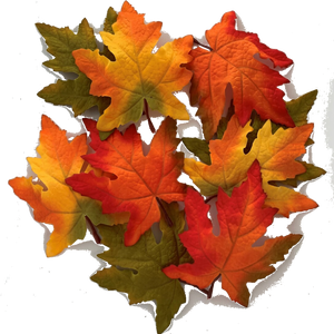 Maple Leaves, Packet of 9