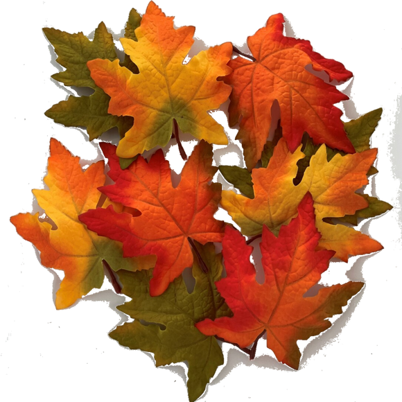 Maple Leaves, Packet of 9