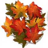 Maple Leaves, Packet of 9