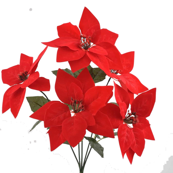 Poinsettia Spray