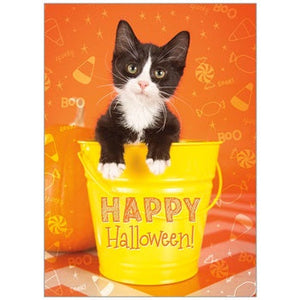 Scary Cute Cat Halloween Card